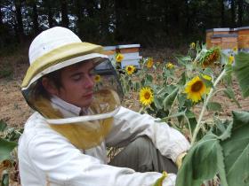 photo coins arrondis